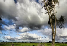 天涯论坛创业家园发贴：聊聊我的网上创业故事