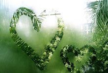 天涯社区改昵称攻略！手把手教你轻松改名